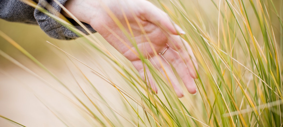 Mano che accarezza dei fili di erba